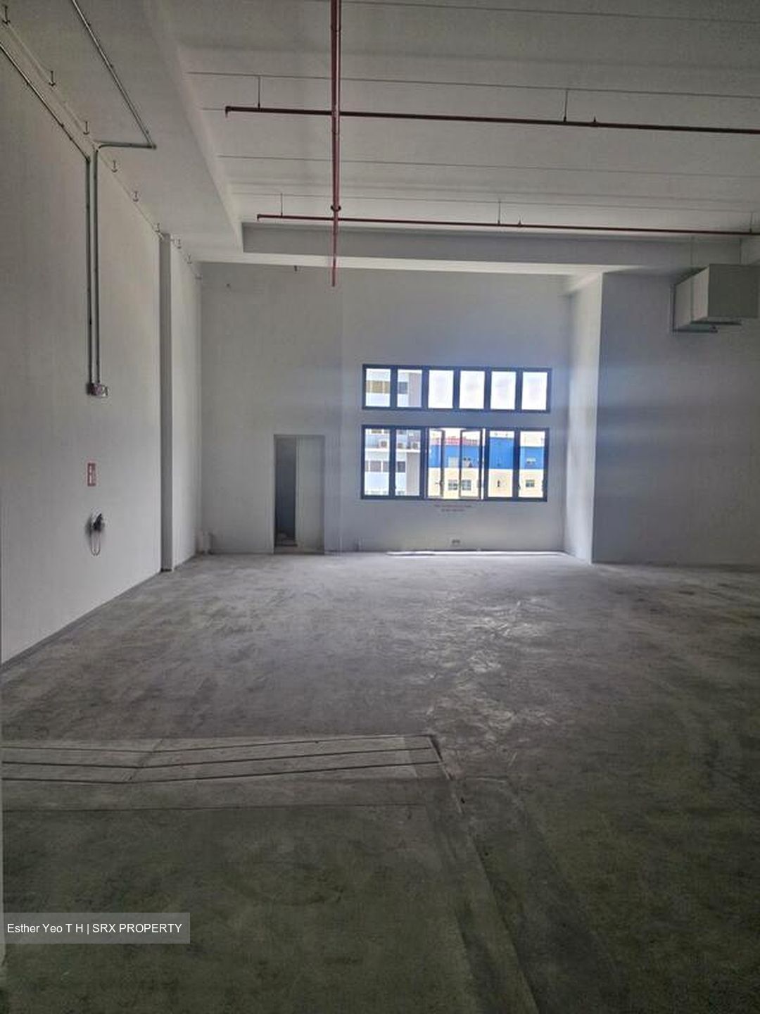 Ct Foodnex (D25), Factory #515492191